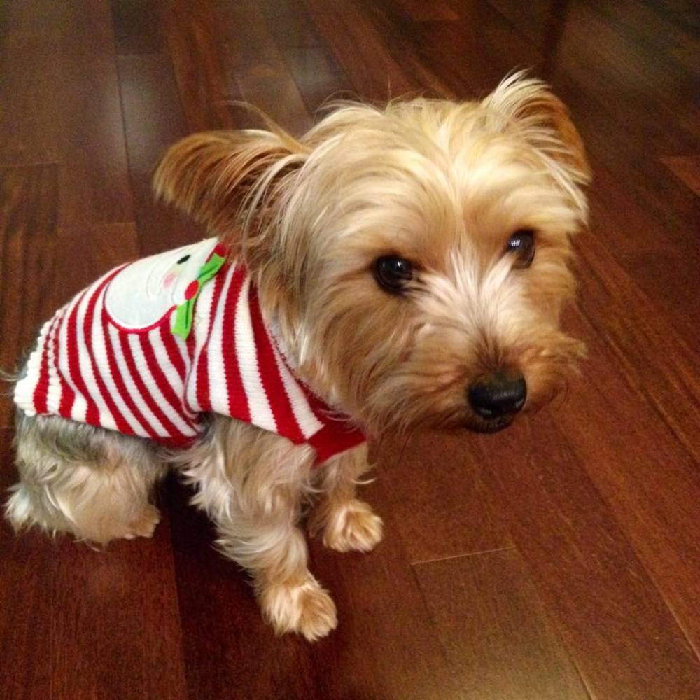 Meet your Posher, Masumi